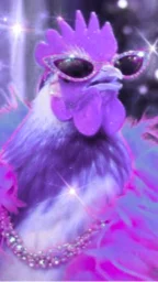 user pfp