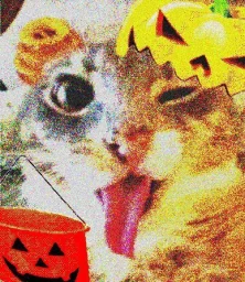 user pfp