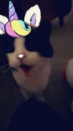 user pfp