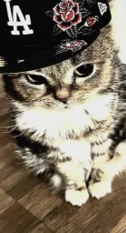 user pfp