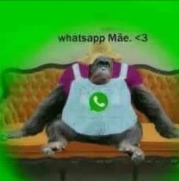 user pfp
