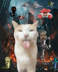 user pfp
