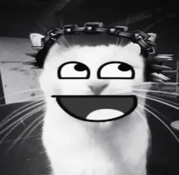 user pfp