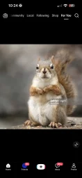 user pfp