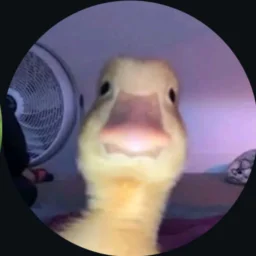 user pfp