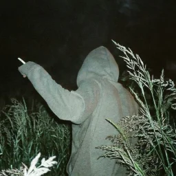 user pfp