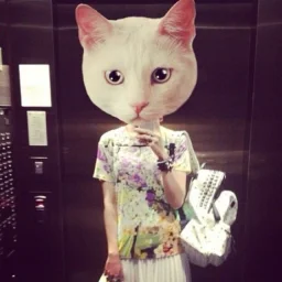 user pfp