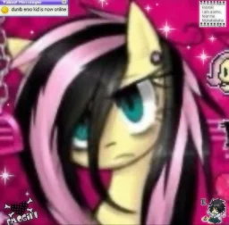 user pfp