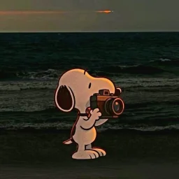 user pfp