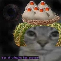 user pfp