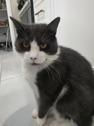 user pfp