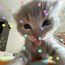 user pfp