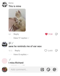 user pfp