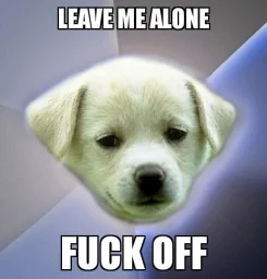 user pfp