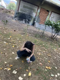 user pfp