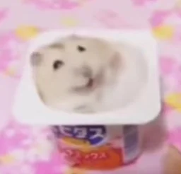 user pfp