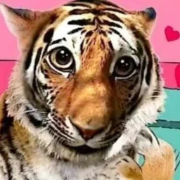 user pfp