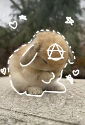 user pfp