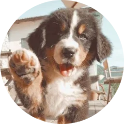 user pfp
