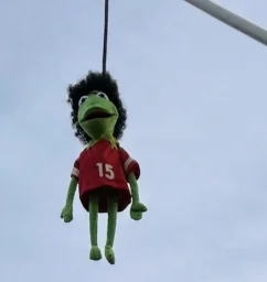 user pfp