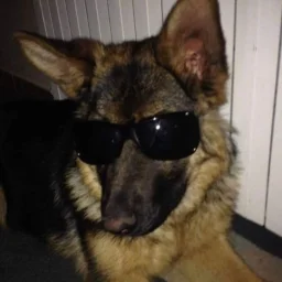 user pfp