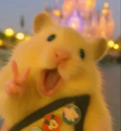 user pfp
