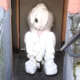 user pfp
