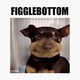 user pfp