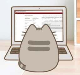 user pfp