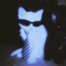 user pfp
