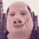 hunter486386364's profile picture
