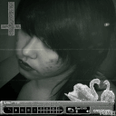 grimcygnet's profile picture