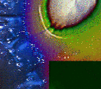 eternalikon's profile picture