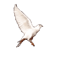 SunnyBunnny's profile picture