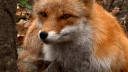 amii_lycia28's profile picture