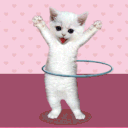 Aashyy's profile picture