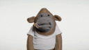 beet96's profile picture