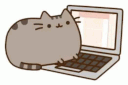 layout test's profile picture