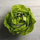 lettuce