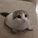 lonelyend's profile picture