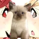 phonechirpin's profile picture