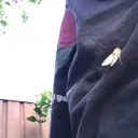 heartshapedsunglasses's profile picture