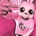 pa2ooty's profile picture