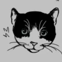tillycat_harv's profile picture