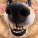 Proffesor Inteligence's profile picture
