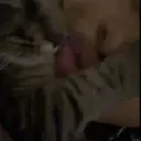 prettyfacecartii