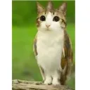 notjamer's profile picture