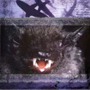 chiroptera7selachii