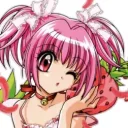 biscuit's profile picture