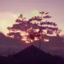 ellen's profile picture